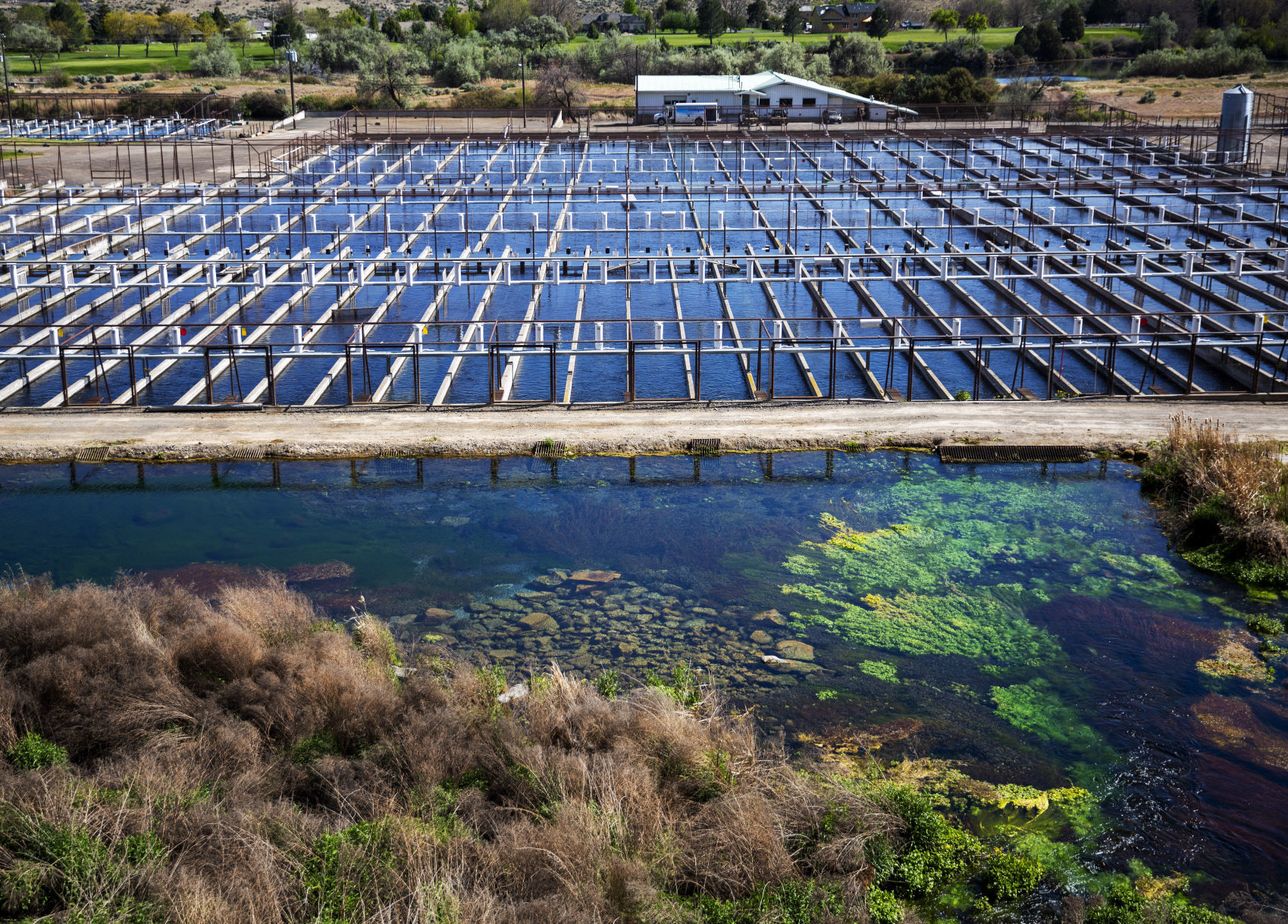 Aquaculture water
